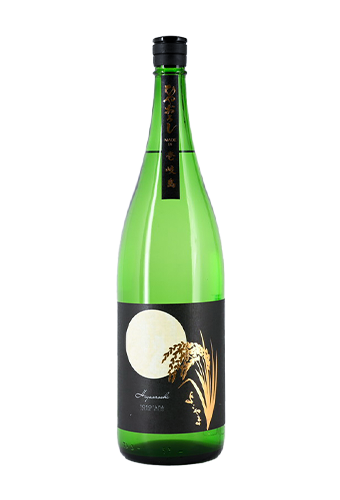 Rượu Sake YOKOYAMA SILVER HIYAOROSHI JUNMAI GINJO (720ml/1800ml)