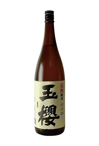 Rượu Sake TAMAZAKURA KIMOTO JUNMAI YAMADA-NISHIK (720ml/1800ml)